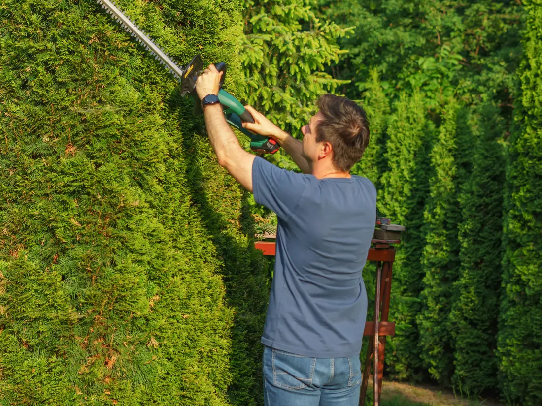 Landscaper trimming a hedge with power shears
