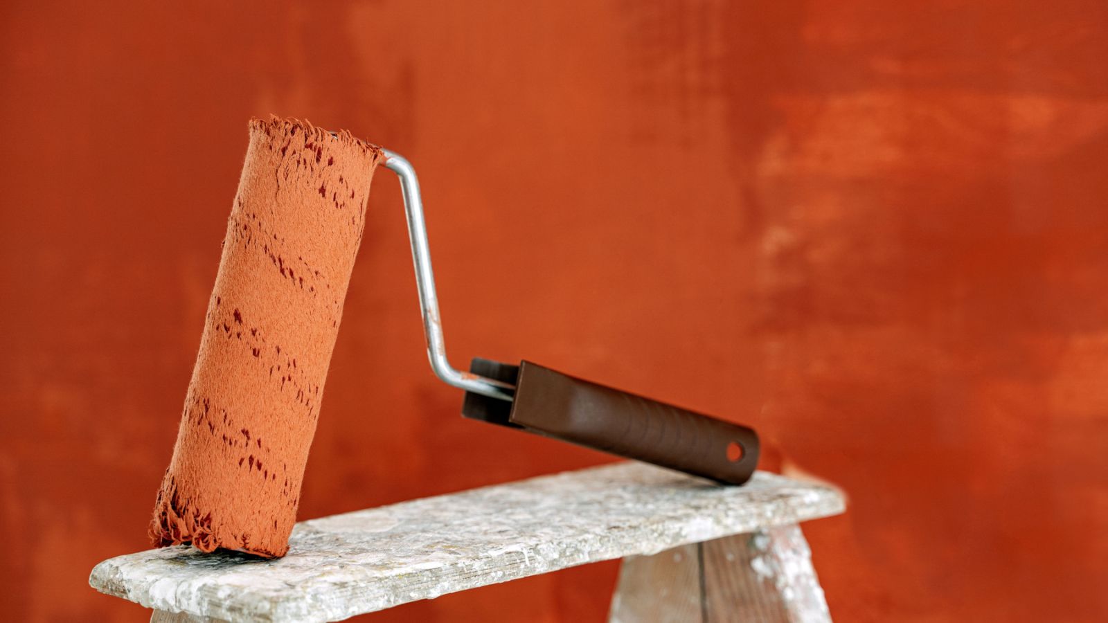Paint roller resting on a ladder against a freshly painted wall.